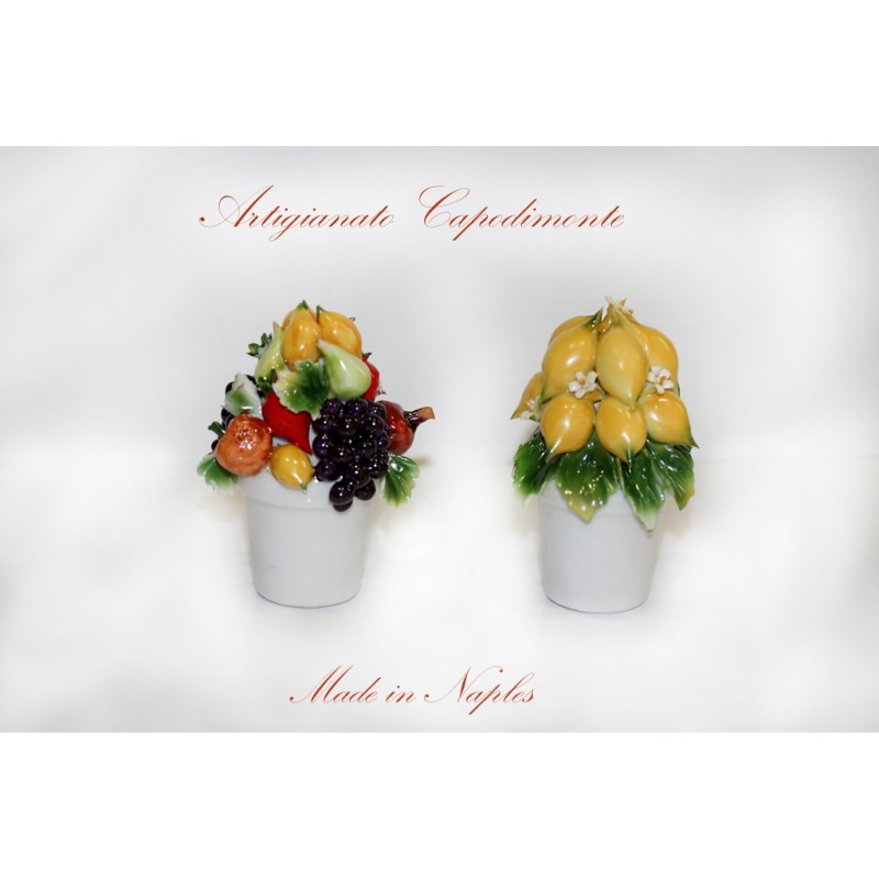 PIANTINE CON DECORO A FRUTTA MISTA